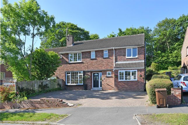 Carter Knowle Avenue, Carter Knowle S11 6 bed semi