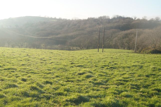 Land