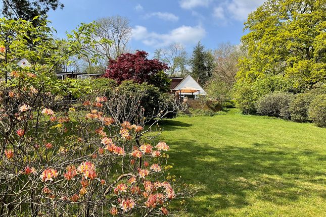Wall Hill Road, East Grinstead RH19 5 bed detached house for sale
