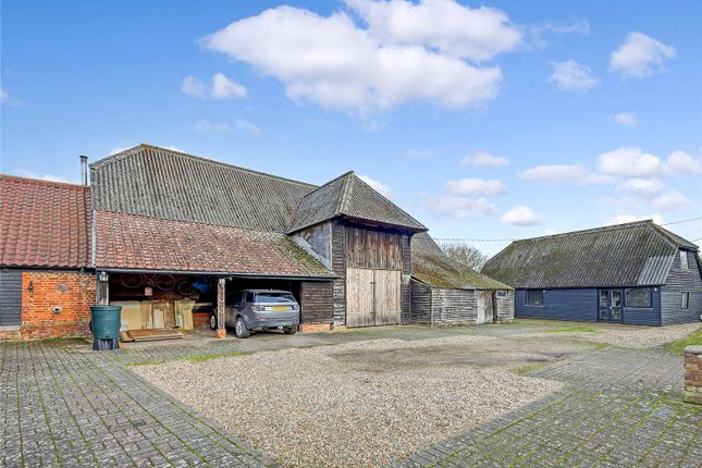 Braintree Road, Panfield, Braintree... 7 bed equestrian property for sale