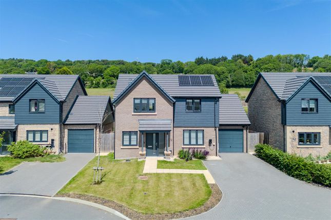 Bramley Rise, Tickenham 4 bed detached house for sale
