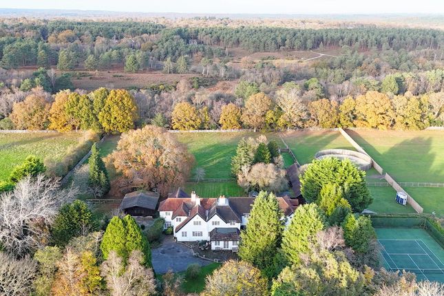 Sandy Down, Boldre, Lymington, SO41 6 bed equestrian property for sale