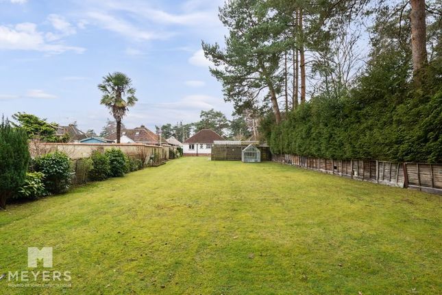 3 bed detached bungalow
