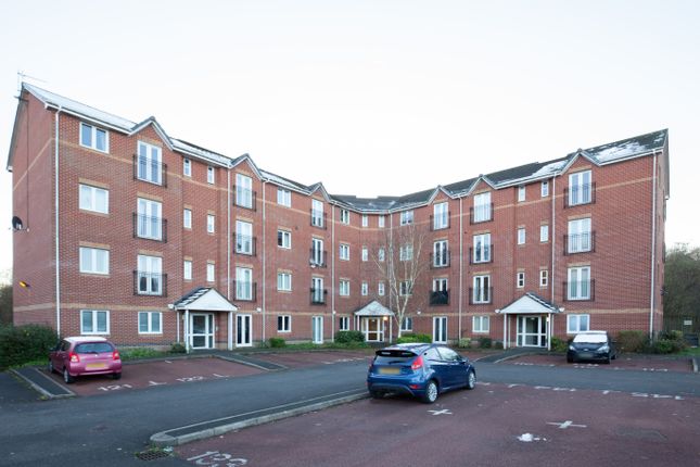 1 bed flat