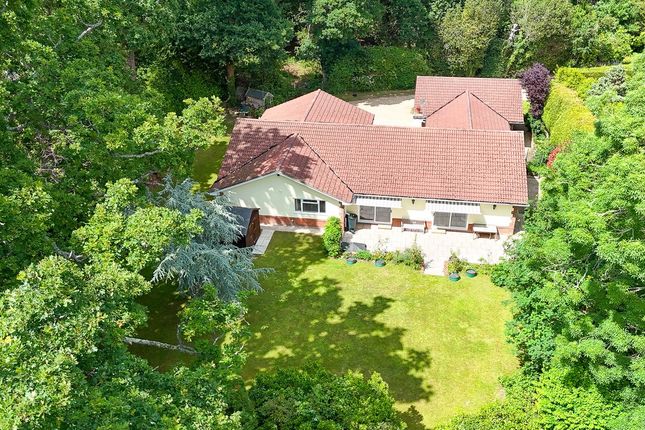 Broadlands Road, Brockenhurst, SO42 4 bed bungalow for sale