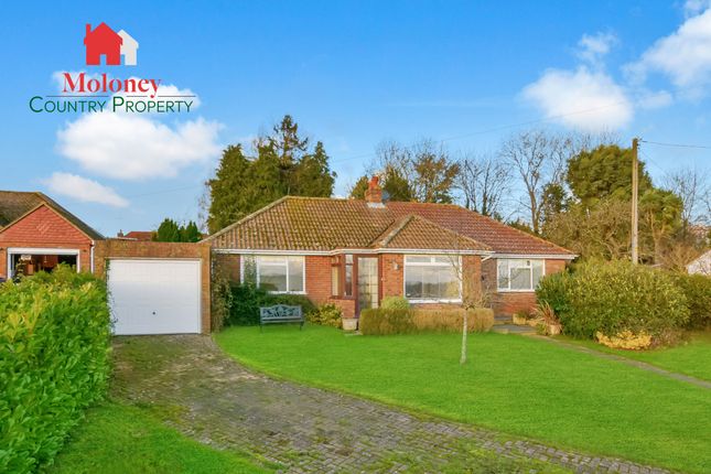 Rural Northiam, East Sussex TN31 3 bed detached bungalow for sale