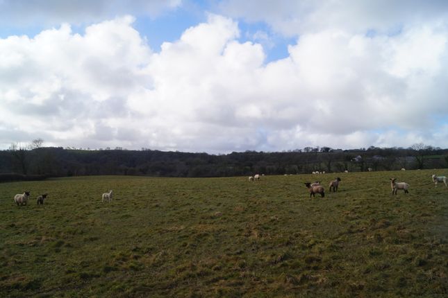 Land