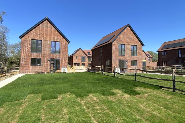 Ashing Close, West Ashling... 3 bed detached house for sale
