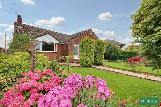3 bed detached bungalow