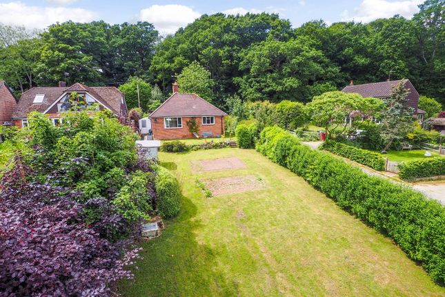 School Lane, Petworth GU28 3 bed detached bungalow for sale