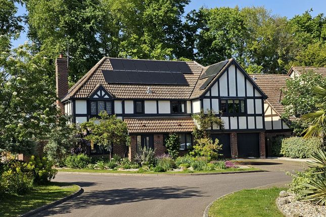 Forest End, Newmarket CB8 5 bed detached house for sale