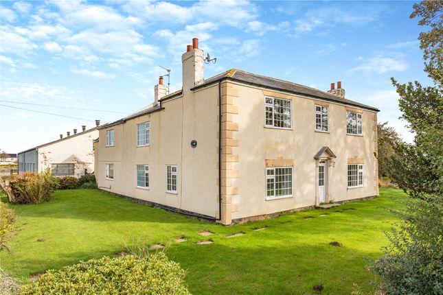 Asperton Farmhouse, Wigtoft, Boston... 4 bed equestrian property for sale