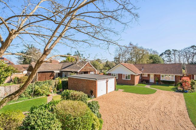 Pyrford Heath, Pyrford, GU22 4 bed bungalow for sale