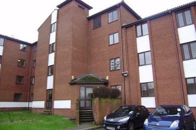 1 bed flat