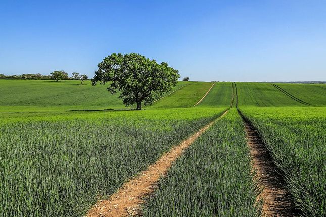 Farm house for sale