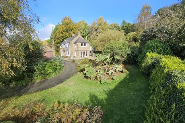 Horsebridge, Tavistock 4 bed detached house for sale