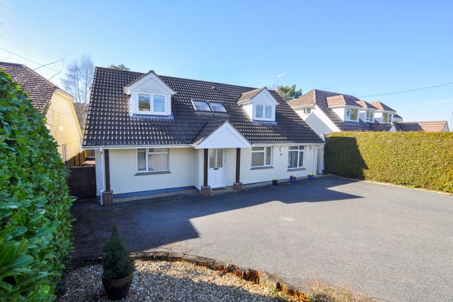Pilford Heath Road, Wimborne, BH21 4 bed bungalow for sale