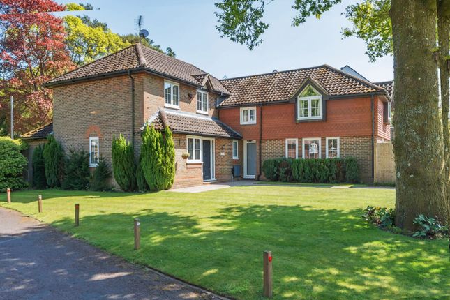Willian Place, Hindhead, GU26 5 bed detached house for sale