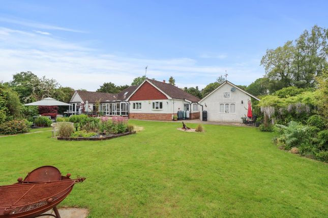 Moat Lane, Sedlescombe, Battle, TN33 6 bed detached house for sale