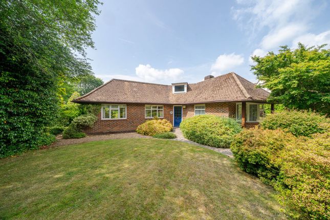 West Lavington, Midhurst, GU29 2 bed detached bungalow for sale