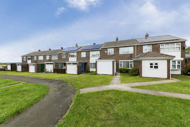 3 bed terraced house