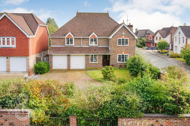 Rainsborough Rise, Norwich 5 bed detached house for sale