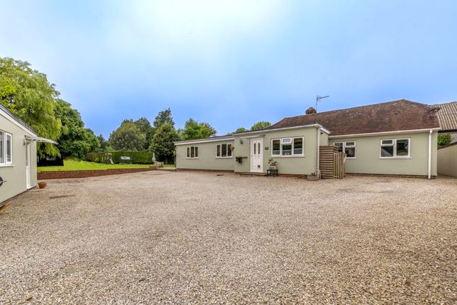 Eastbourne Road, Halland 6 bed detached bungalow for sale