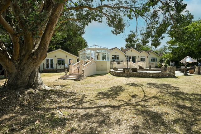 Throop Road, Bournemouth, BH8 5 bed detached bungalow for sale