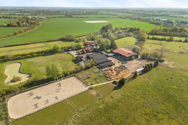 Rands Road, Dunmow CM6 5 bed equestrian property for sale