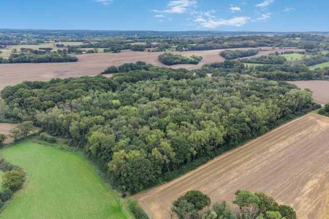 Hinksden Road, Hawkhurst, Cranbrook... Equestrian property for sale