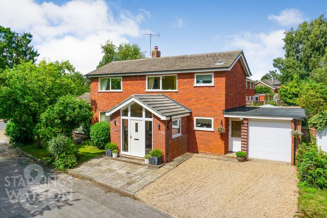 Dovecote Close, Brooke, Norwich 3 bed detached house for sale