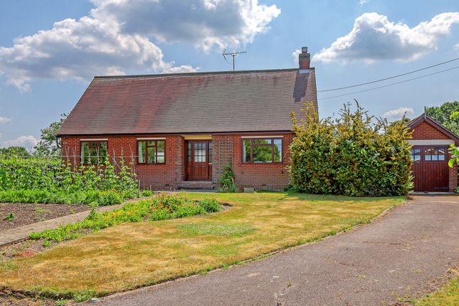 Loves Green, Highwood, CM1 3 bed bungalow for sale