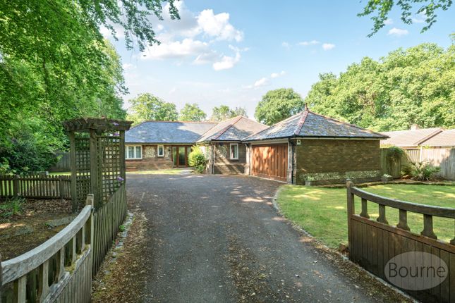The Avenue, Rowledge, Farnham... 4 bed detached house for sale