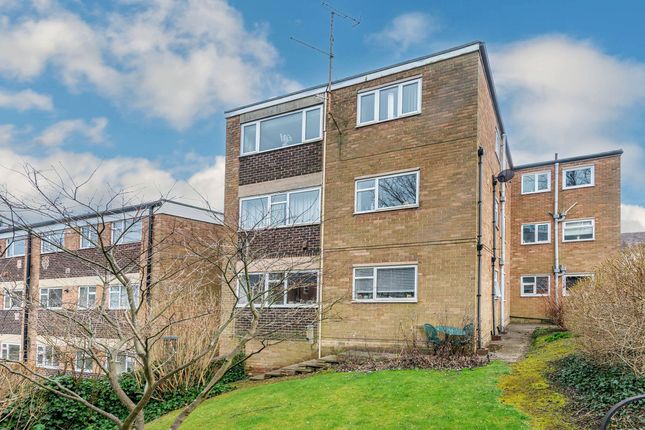 1 bed flat