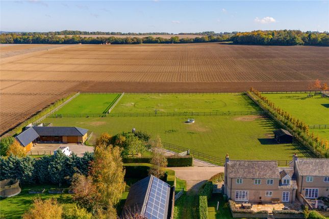 Hinxton, Saffron Walden, Essex, CB10 4 bed equestrian property for sale