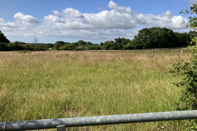 CHALBURY LANE, Horton, BH21 Land for sale