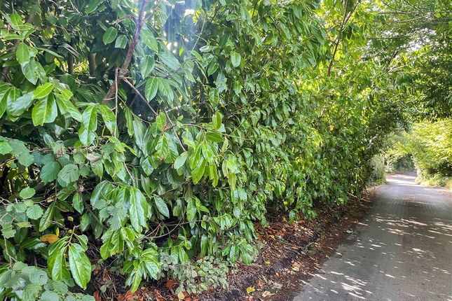 White Post Lane, Culverstone, Kent Land for sale