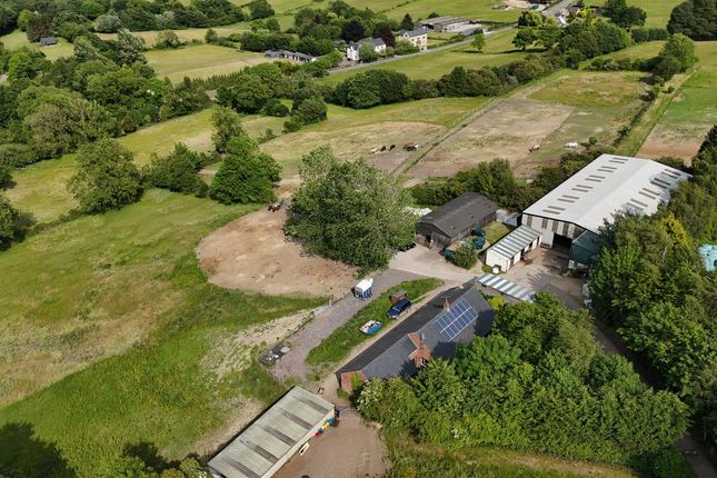 Snowdon Farm Riding School, Snowdon... 5 bed detached bungalow for sale