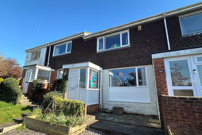 Waterleat Avenue, Paignton 2 bed terraced house for sale