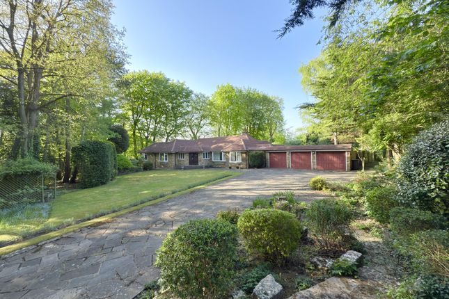The Warren, Ashtead 4 bed bungalow for sale