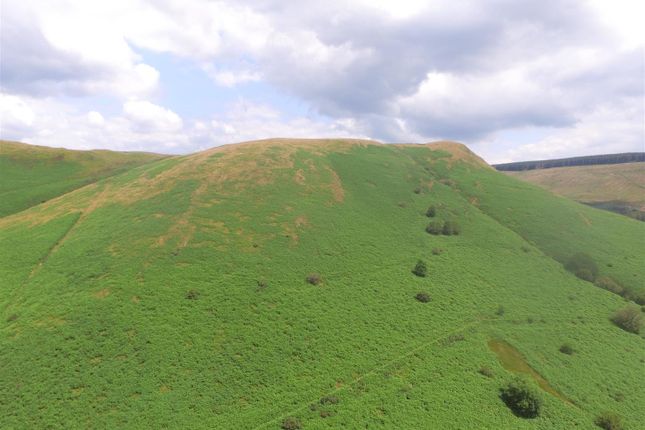 Rhandirmwyn, Llandovery Farm land for sale
