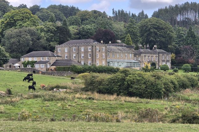 4 bed town house