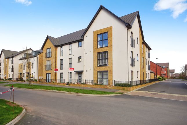 1 bed flat