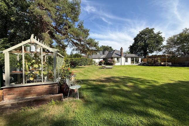 SUTTON GREEN 4 bed detached house for sale