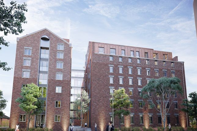 1 bed flat