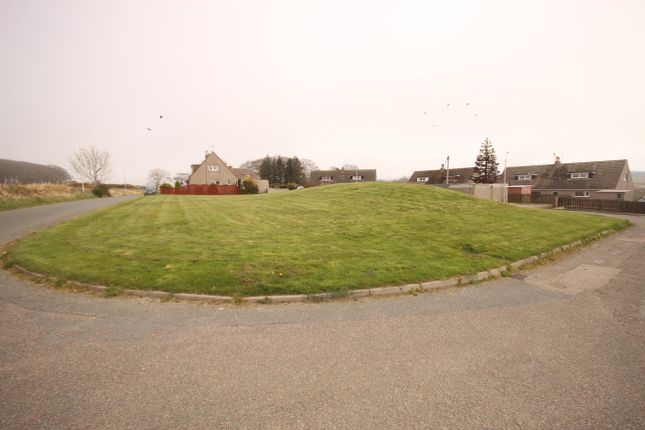 Land