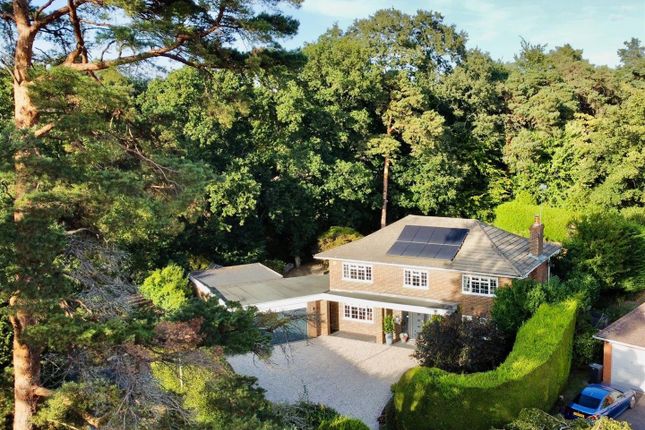 Badger Way, Farnham GU10 5 bed detached house for sale