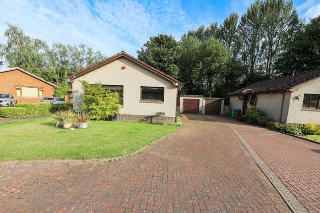 2 bed detached bungalow