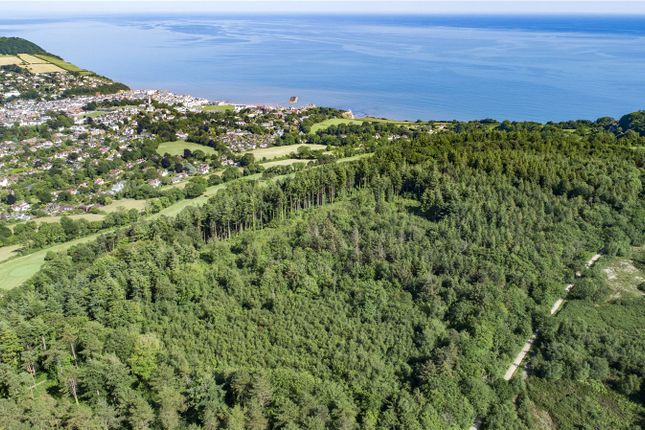 Woodlands At Peak Hill, Sidmouth... Land for sale