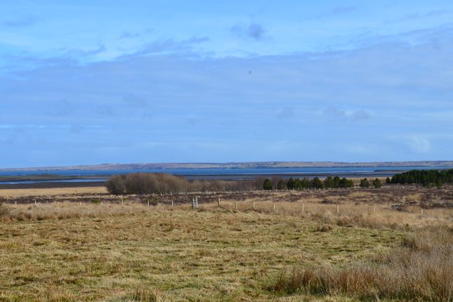 Land